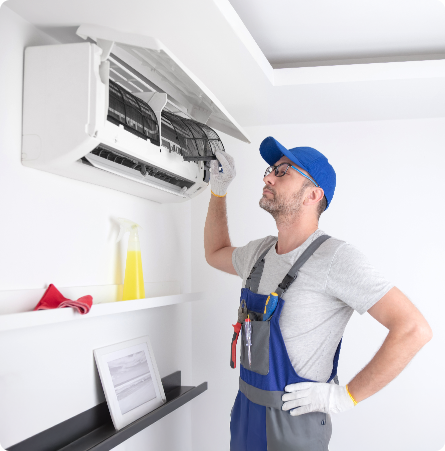 shutterstock 2324401171